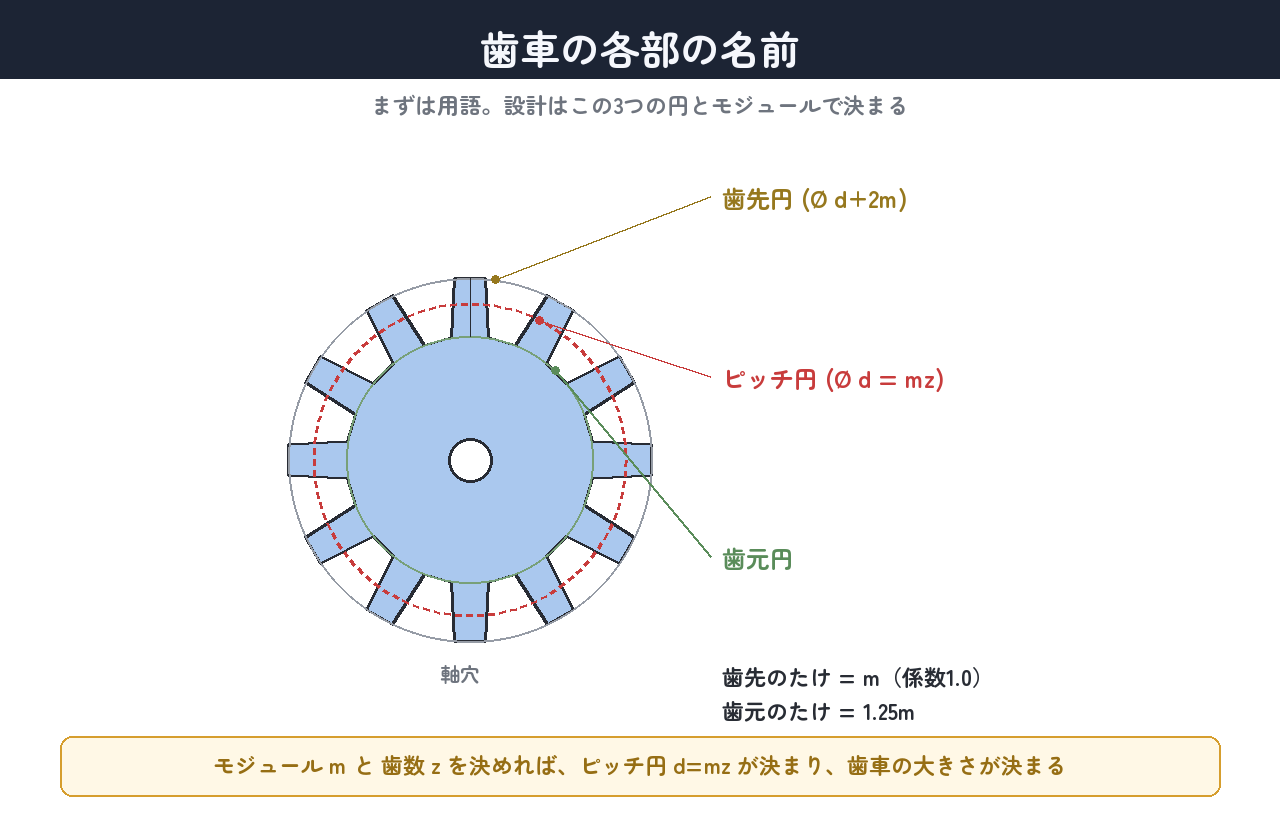 歯車の各部の名前。設計はこの3つの円とモジュールで決まる
