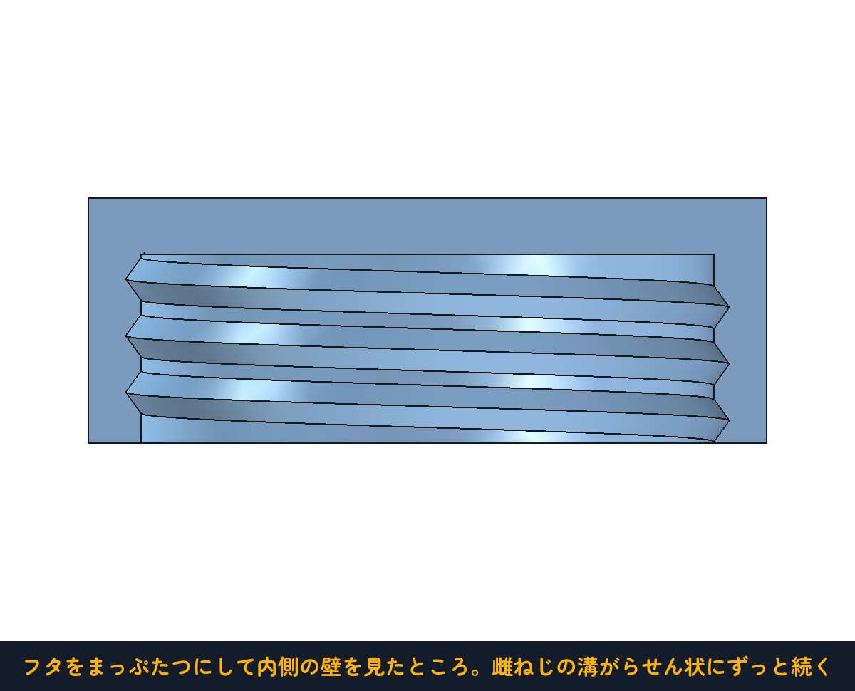 フタをまっぷたつにして内側の壁を見たところ。雌ねじの溝がらせん状に続く