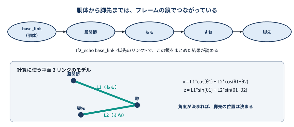 胴体から脚先までは、フレームの鎖でつながっている。2 つのリンクの平面モデルで近似して計算する