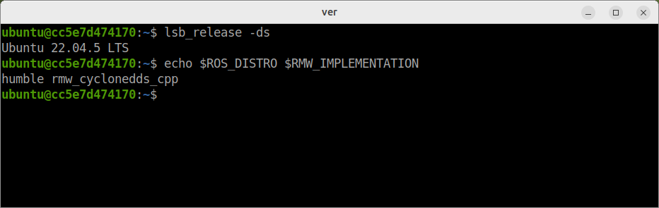Ubuntu 22.04 の上で、ROS 2 Humble が動いています。rmw_cyclonedds_cpp は、使っている DDS の種類(Cyclone DDS)です